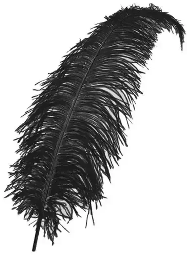 Spadonis veren zwart 50/60 cm.