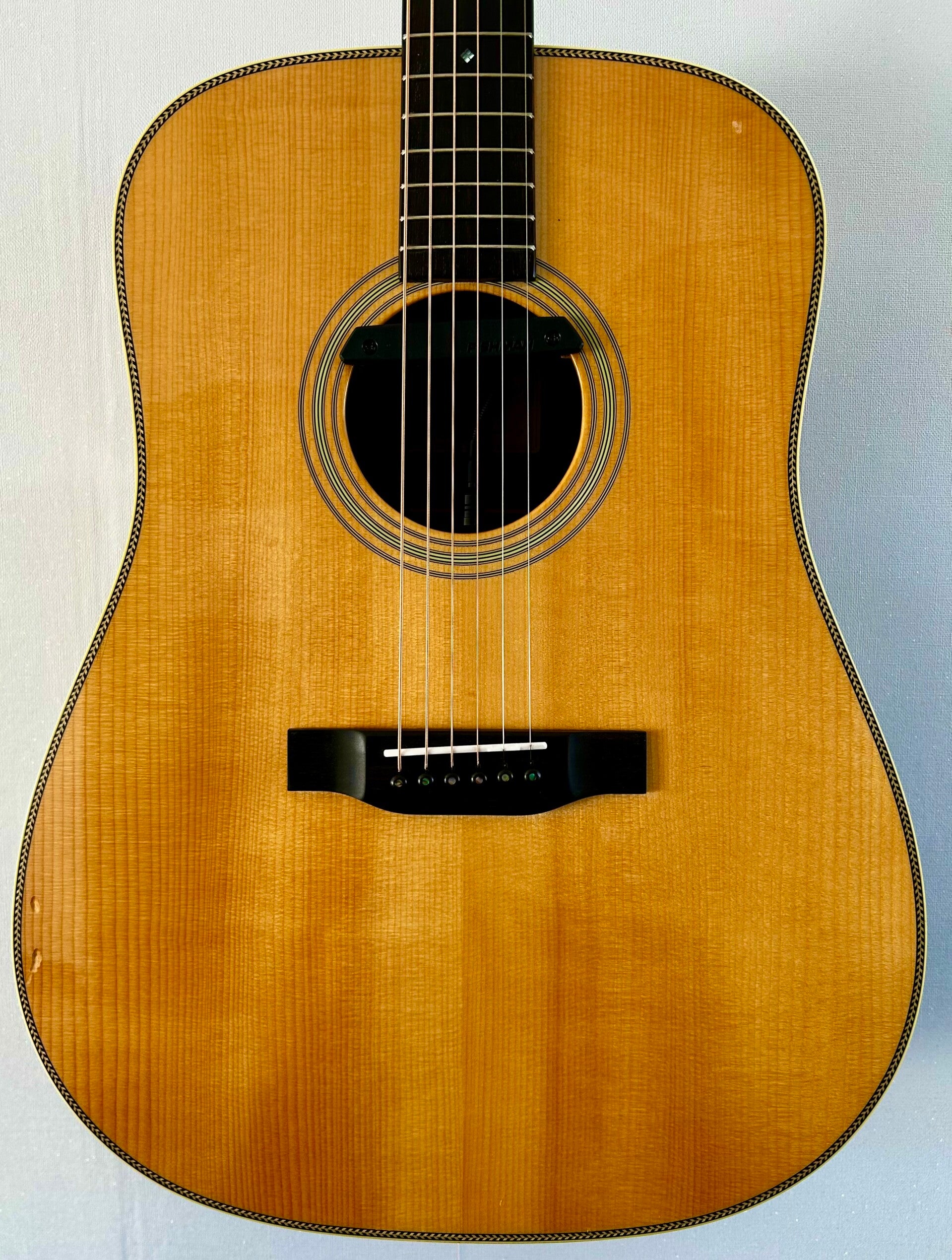 Eastman E20D (2016) met Fishman Rare Earth blended mic