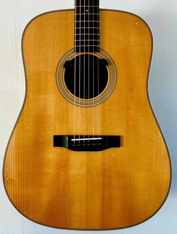 Eastman E20D (2016) met Fishman Rare Earth blended mic