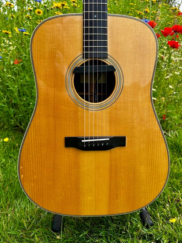 Eastman E20D (2016) met Fishman Rare Earth blended mic