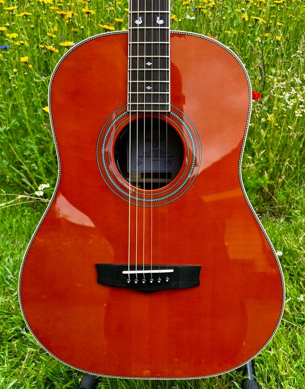 Homestead Dreadnought Slope Shoulder 12 fret