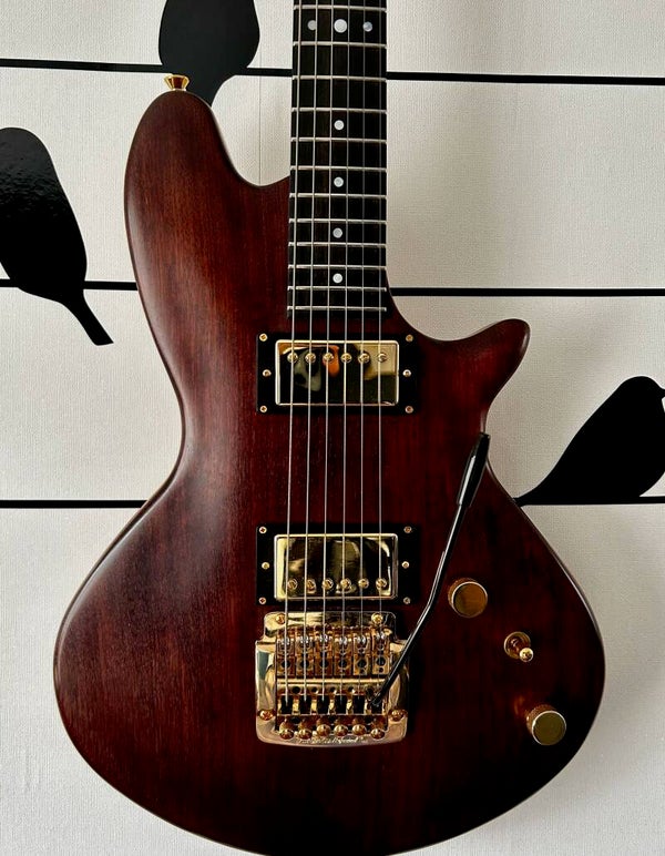 Ferns Custom