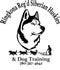 RINGKONA REG'D SIBERIAN HUSKIES