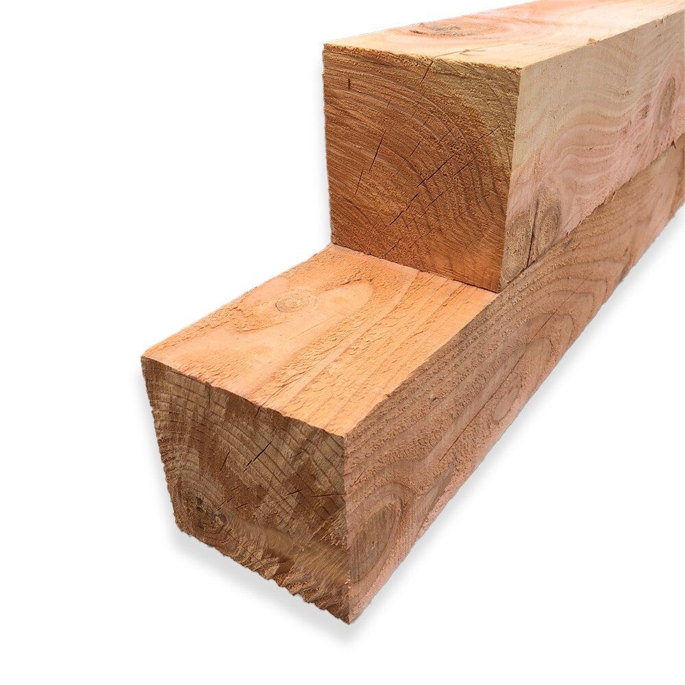 Douglas Lariks balk | 15x15 cm