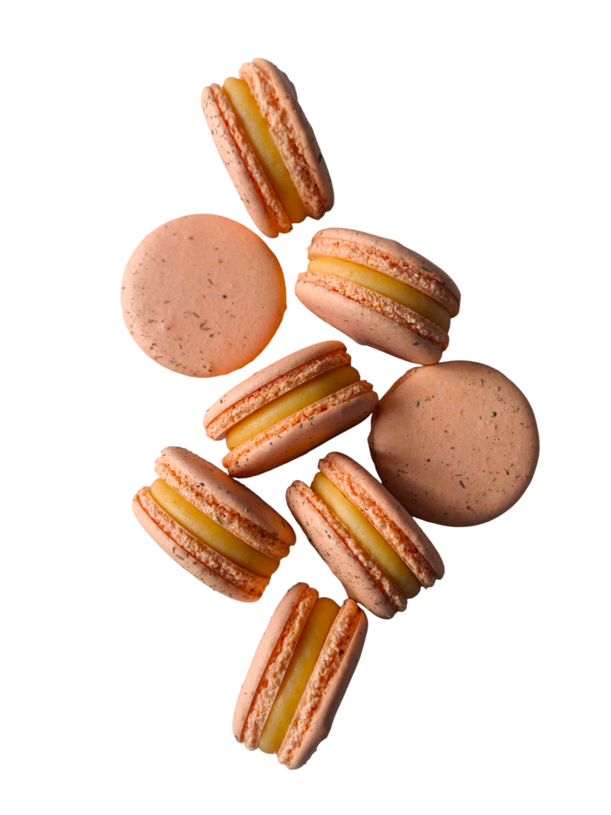 L'Atelier du Macaron