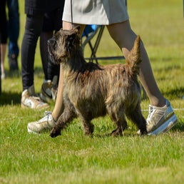 dsc_9184-standard.jpg