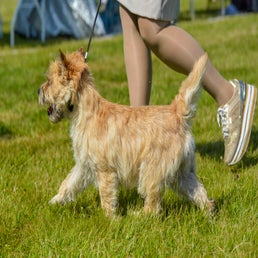 dsc_9815-standard.jpg