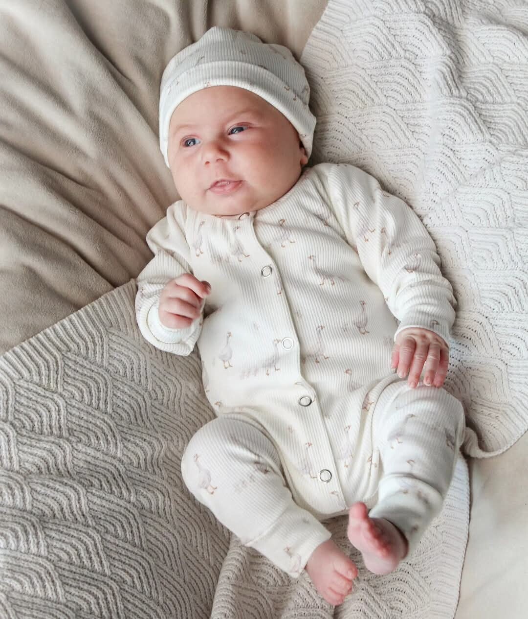 Boxpakje Baby Rib | Eendjes