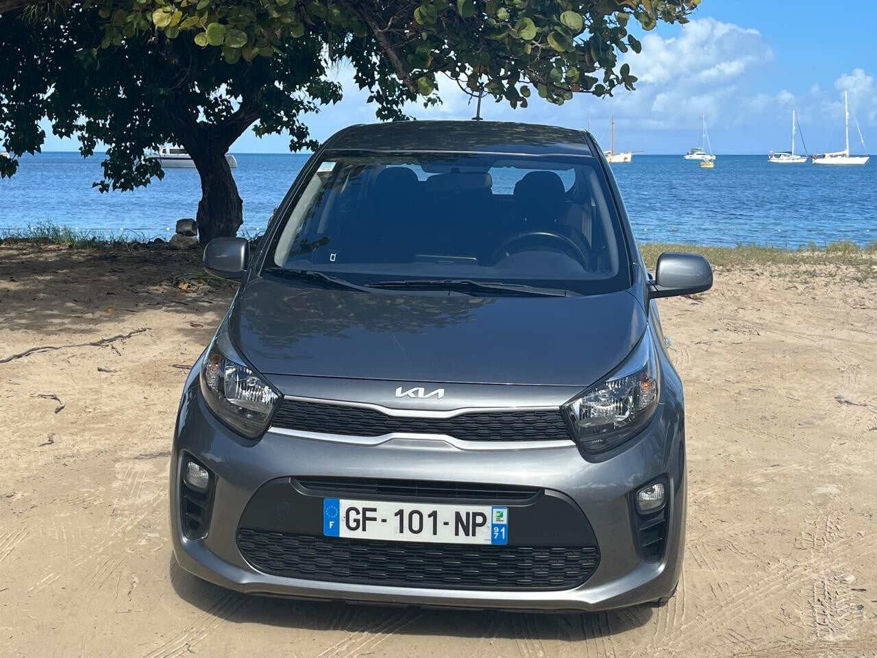 "alt=Kiapicantodevantlamer"