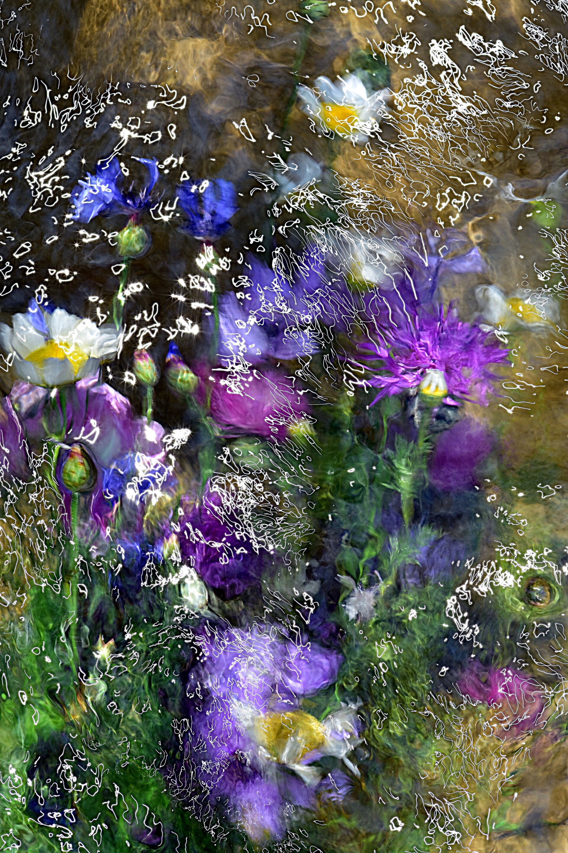 Inflorescencia (Autor: Verónica Heusch)