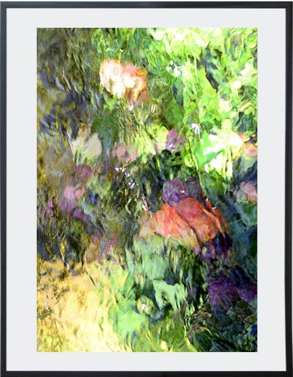 Título: El jardín de Claude/Artista: Verónica Heusch