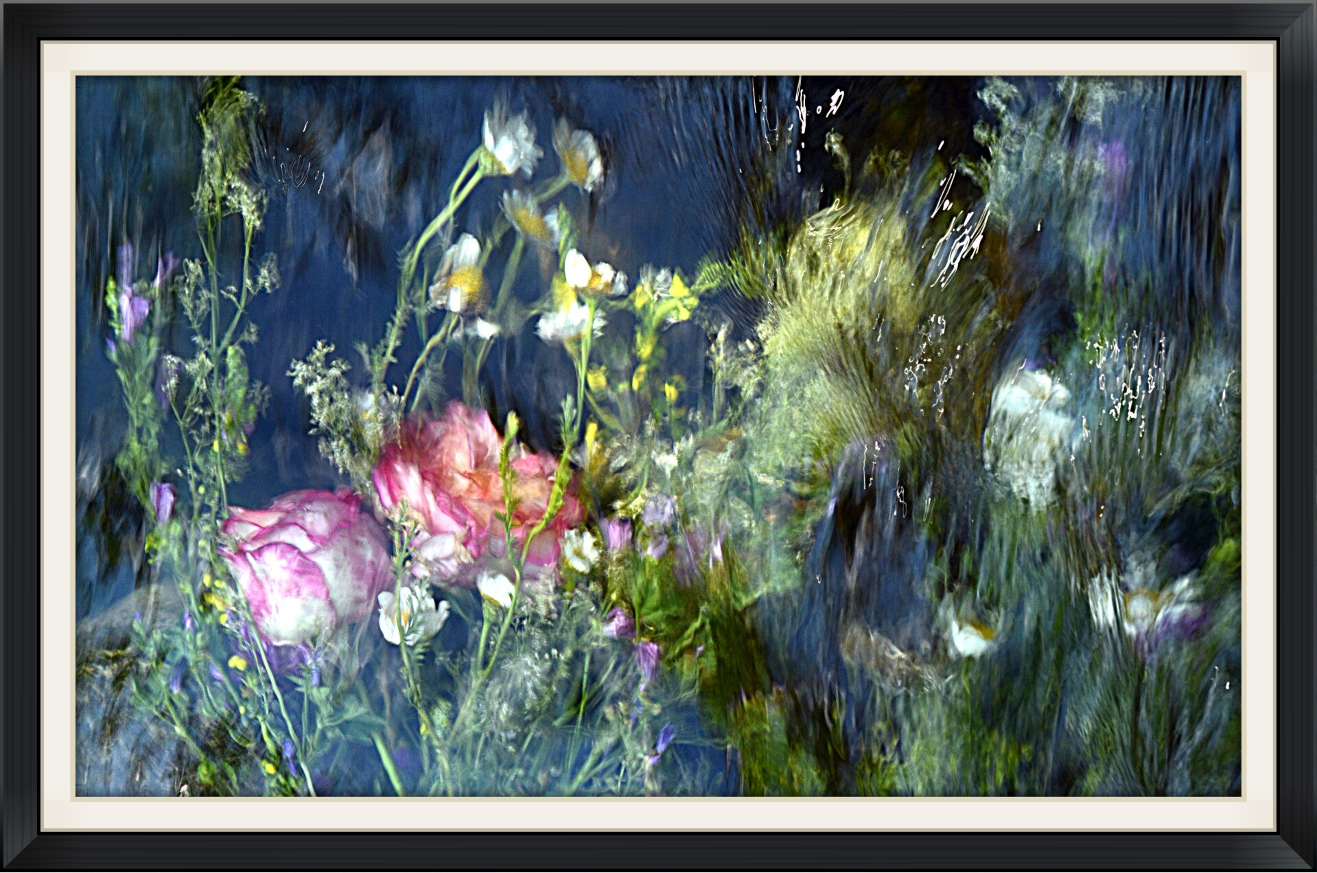 Titulo: Difracción botánica (Autor: Verónica Heusch)