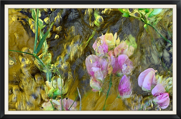 Título: Entre orquídeas salvajes (Autor: Verónica Heusch)
