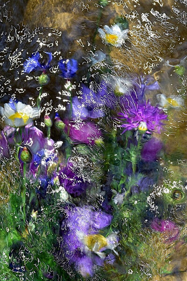 Título: Jardín secreto/Artista:Verónica Heusch