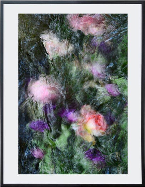 Titulo: Rosas en Junio/ Artista: Verónica Heusch