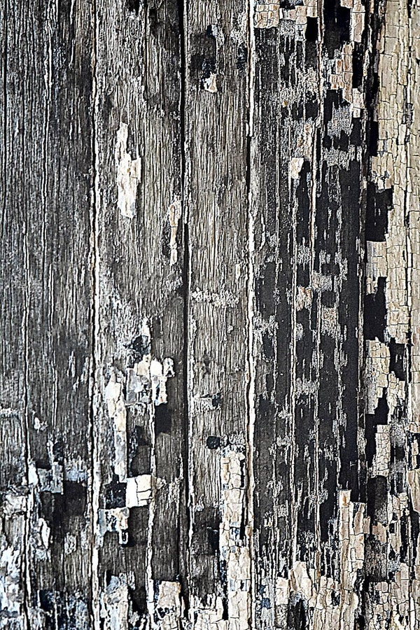 Título: Texture 22/Autor: Verónica Heusch