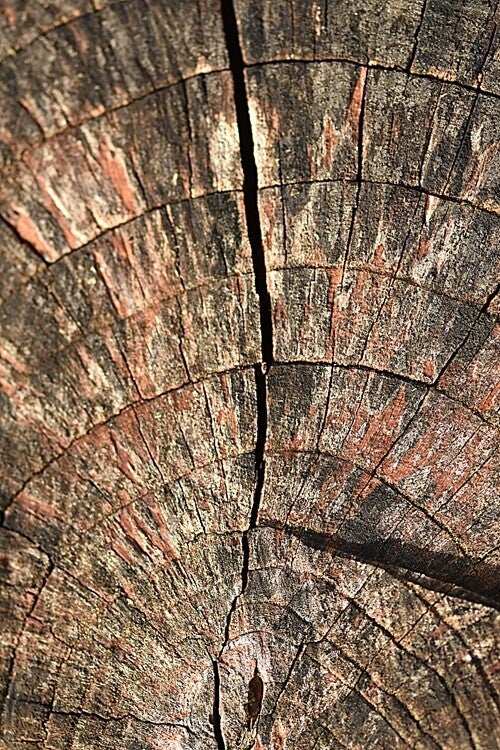 Título: Texture 101/Autor: Verónica Heusch