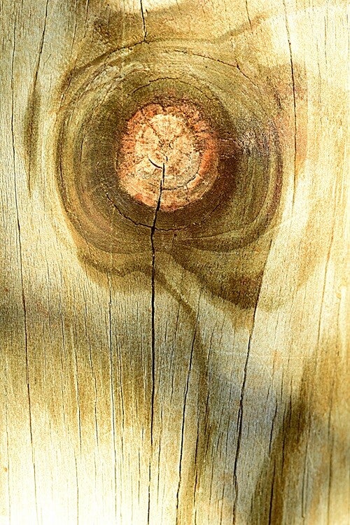 Título: Texture 11/Autor: Verónica Heusch