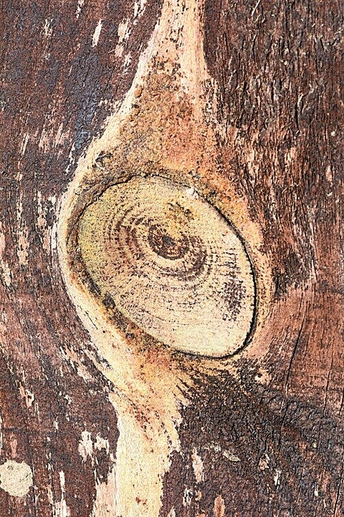 Título: Texture 139/Autor: Verónica Heusch