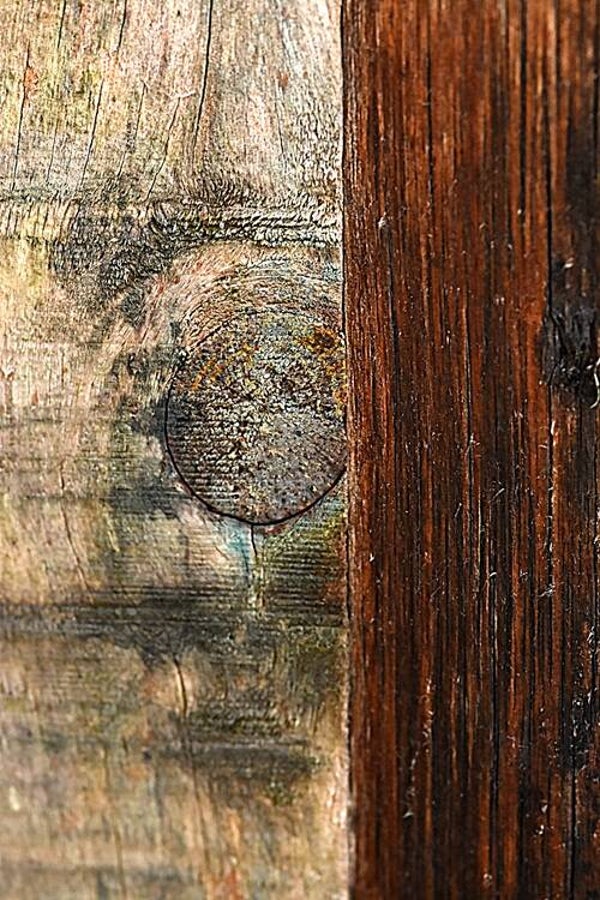 Título: Texture 138/Autor: Verónica Heusch