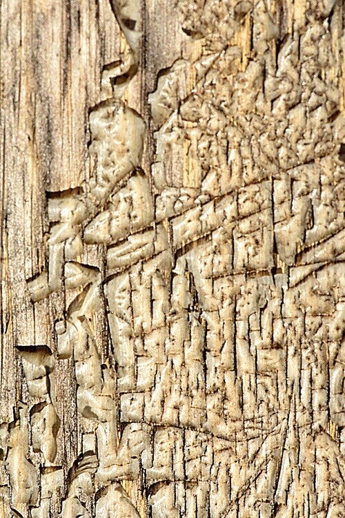 Título: Texture 162/Autor: Verónica Heusch