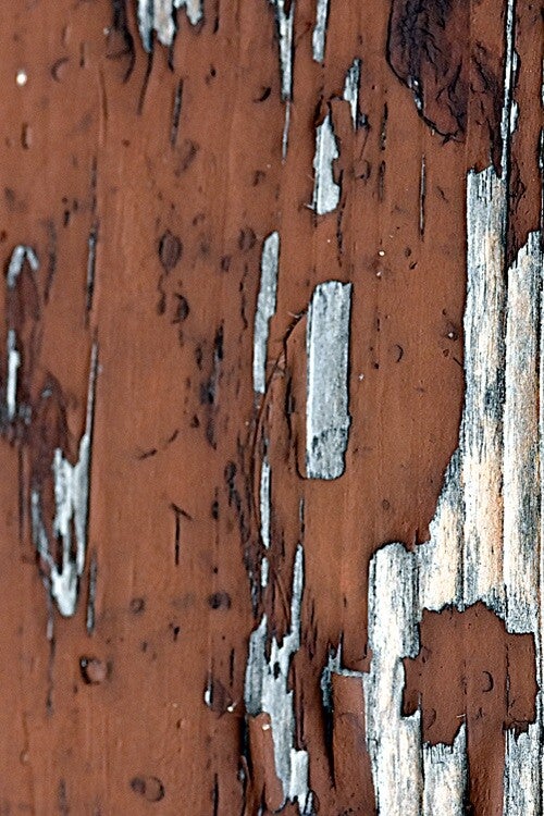 Título: Texture19/Artista: Verónica Heusch