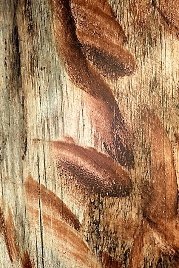 Título: Texture 238/Autor: Verónica Heusch