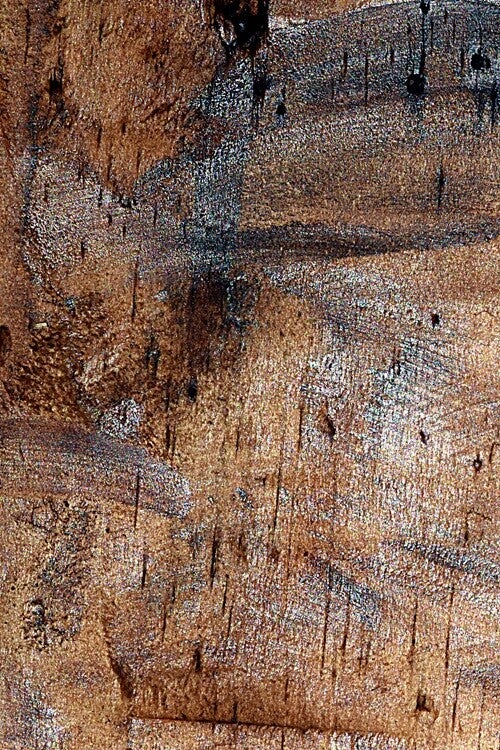 Título: Texture 239/Autor: Verónica Heusch