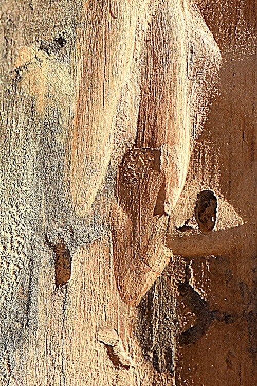 Título: Texture 243/Autor: Verónica Heusch