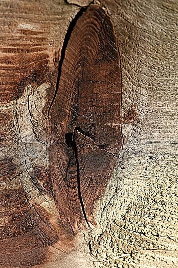 Titulo: Texture 33/ Artista: Verónica Heusch