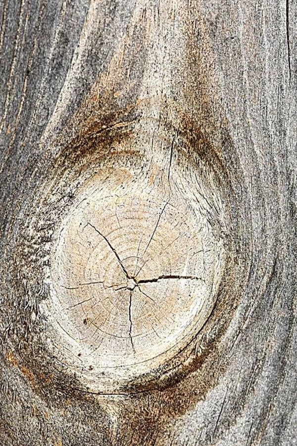 Título: Texture 53/Autor: Verónica Heusch
