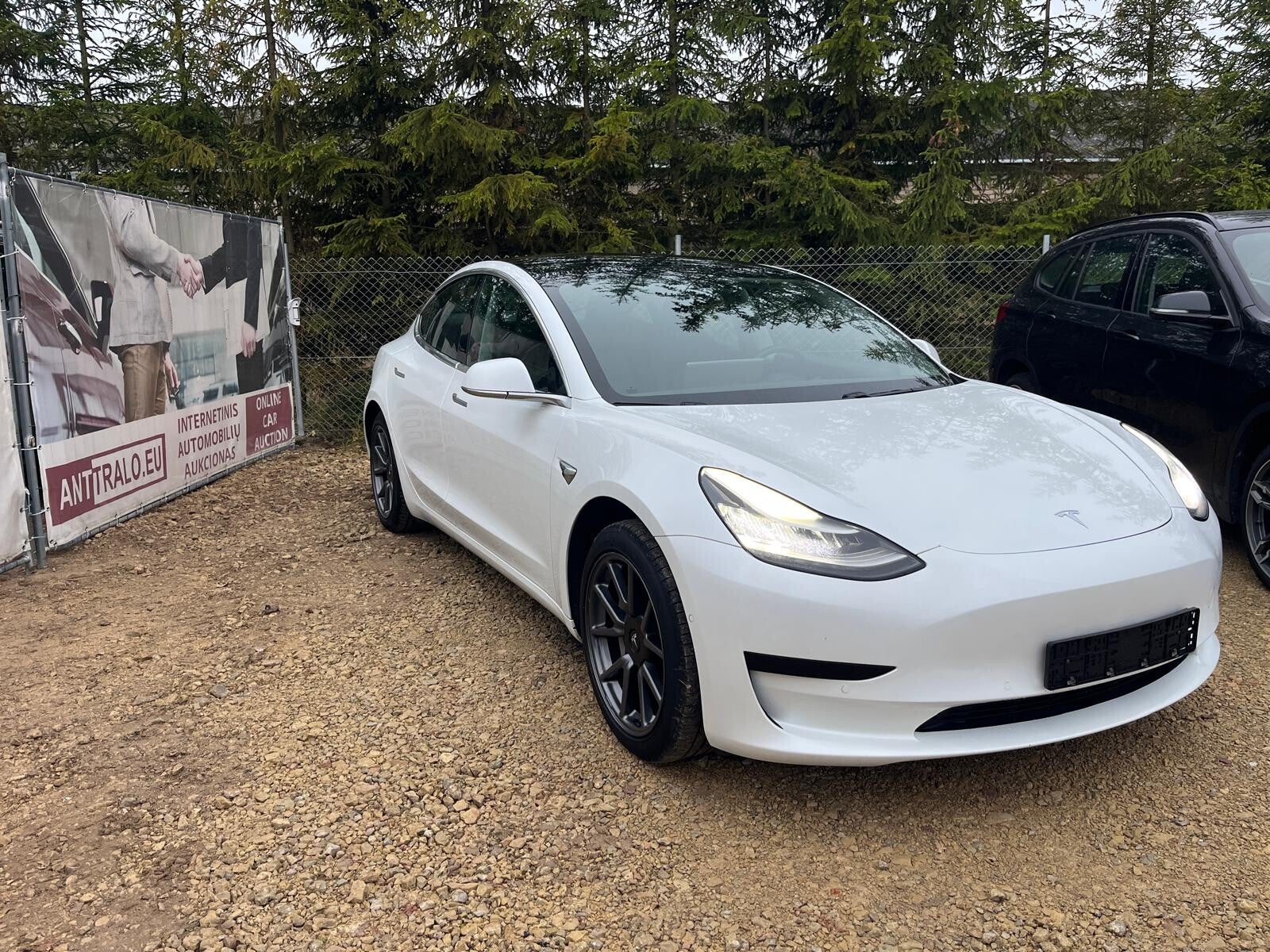 TESLA MODEL 3 STANDARD PLUS