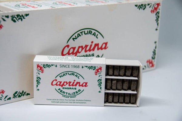 Caprina