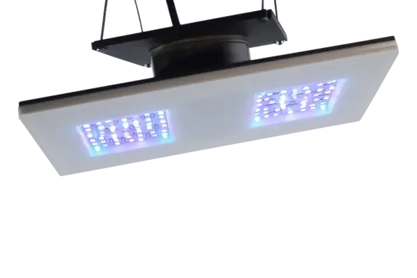 Gravity21 2x1 Modul 30 Watt 200x100x10mm