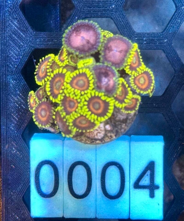 0004