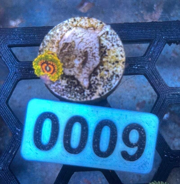 0009