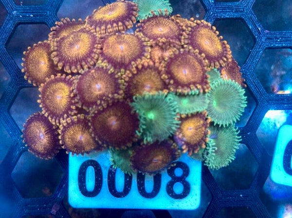 0008