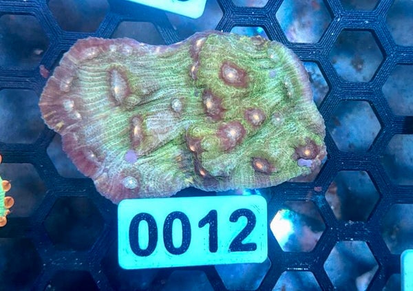 0012
