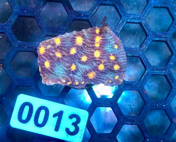 0013