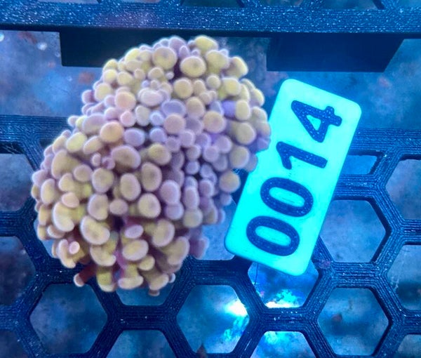 0014