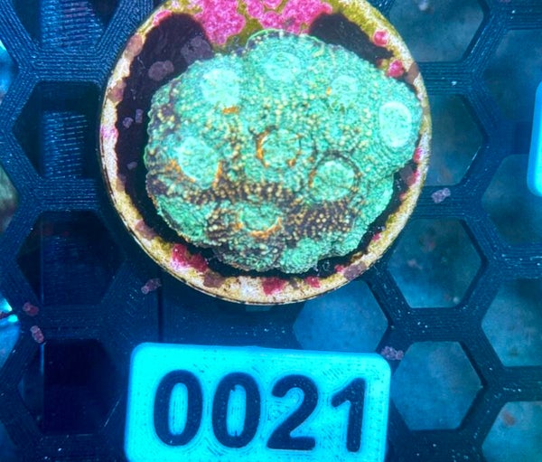 0021