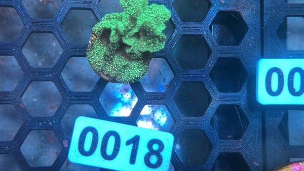 0018