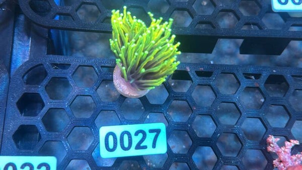 0027