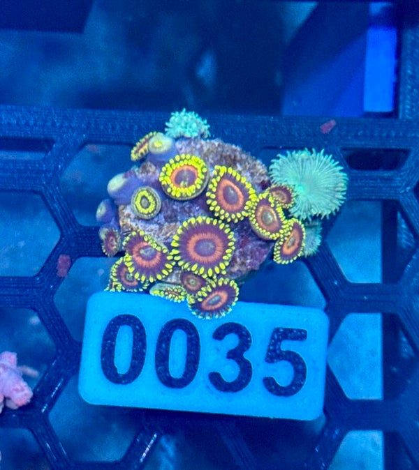 0035