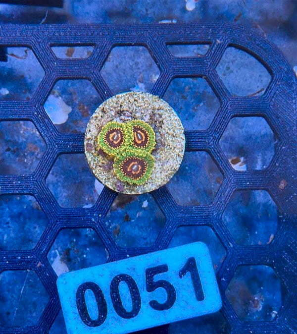 0051