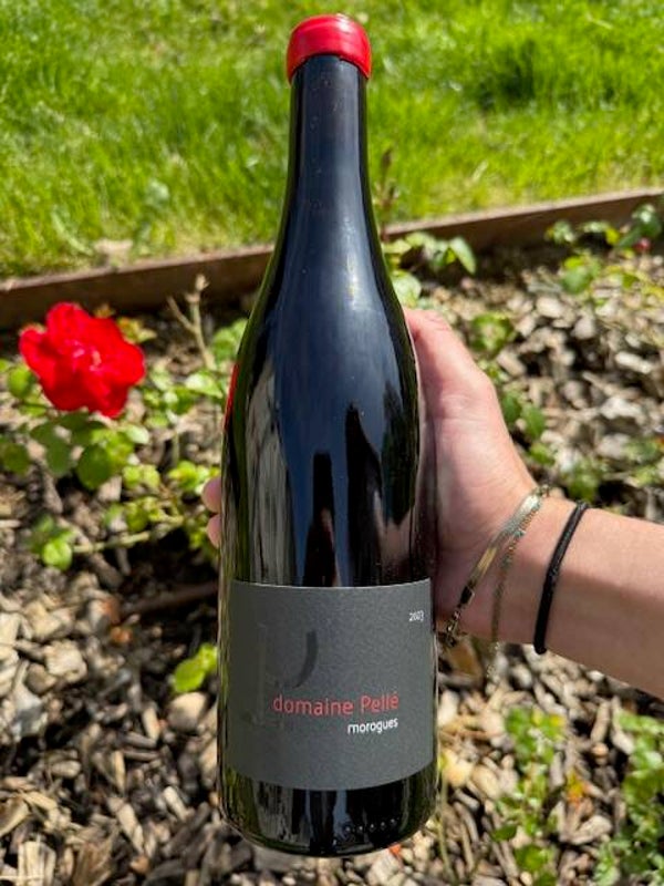 Menetou-Salon “Morogues” 2023 - Domaine Pellé - Loire