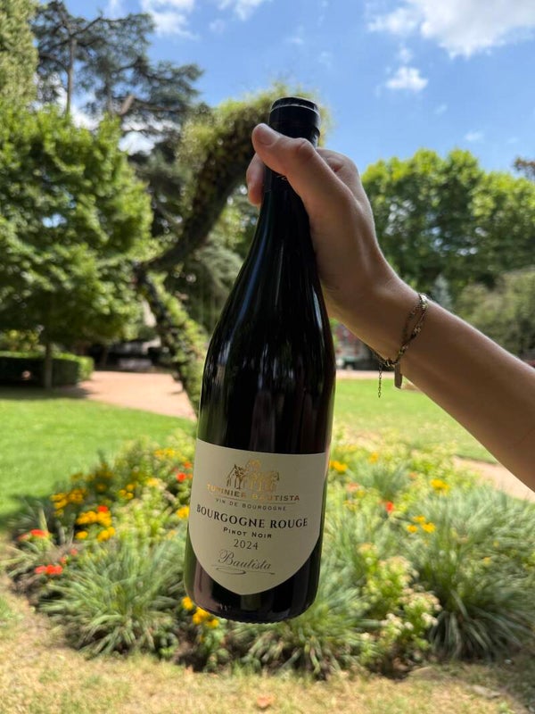 Bourgogne rouge 2024 - Domaine Tupinier Bautista