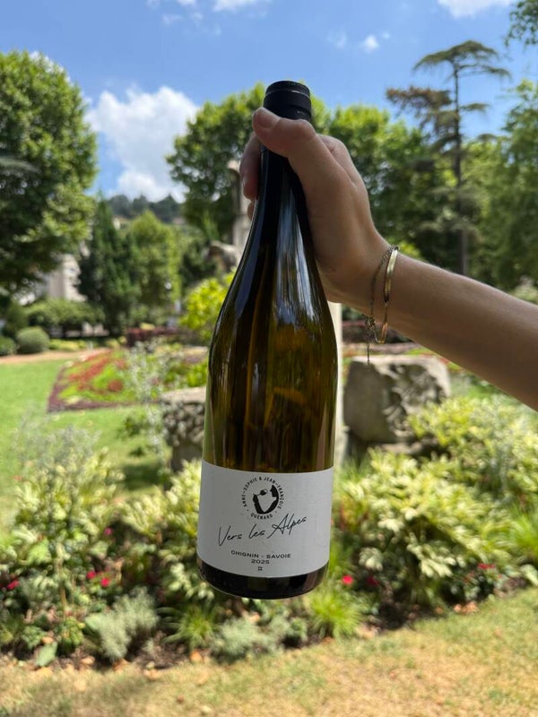 Chignin « Vers les Alpes » 2025 - Domaine Quénard - Savoie