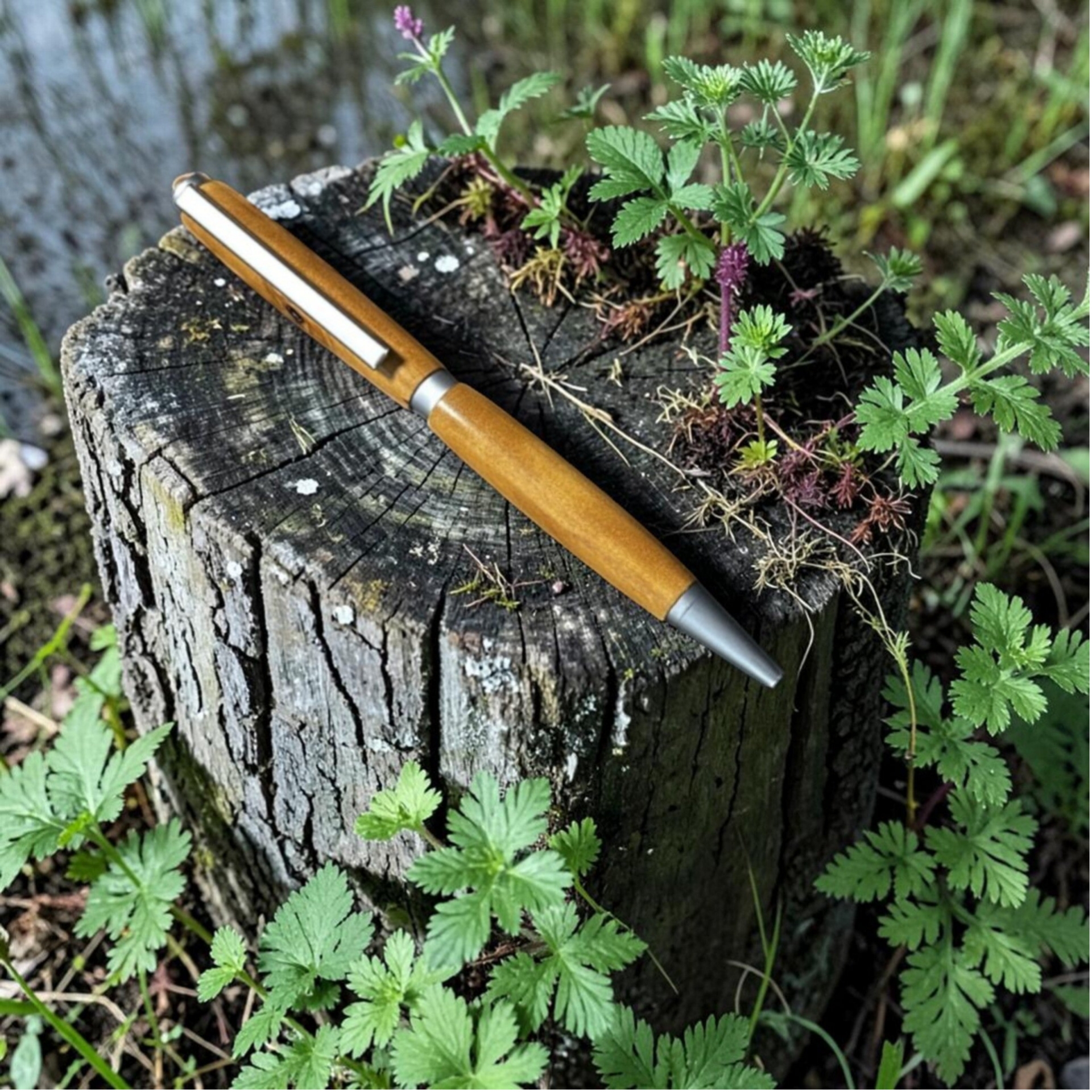 Dreh - Kugelschreiber Slimeline  Holzart :  Olive