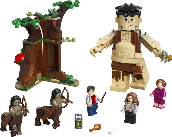LEGO Forbidden Forest: Umbridge's Encounter 75967